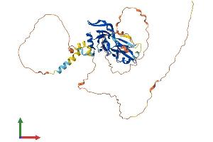 AlphaFold protein structure predicition of Human Recombinant TBX6 Protein, UniprotID O95947 (T-Box 6 Protein (TBX6) (AA 1-436) (His tag))