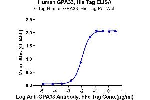 ELISA image for Glycoprotein A33 (Transmembrane) (GPA33) (AA 22-235) protein (His-Avi Tag) (ABIN7274766)