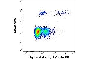 Flow cytometry multicolor surface staining of human lymphocytes stained using anti-human Ig Lambda Light Chain (1-155-2) PE antibody (10 μL reagent / 100 μL of peripheral whole blood) and anti-human CD19 (LT19) APC antibody (10 μL reagent / 100 μL of peripheral whole blood).