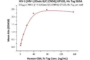 Human Immunodeficiency Virus Surface Glycoprotein (HIV gp120) (AA 36-507) (Active) protein (His tag)