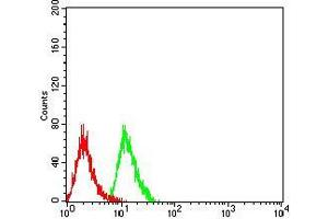 Flow cytometric analysis of Hela cells using LGALS1 mouse mAb (green) and negative control (red). (LGALS1/Galectin 1 antibody  (AA 1-135))