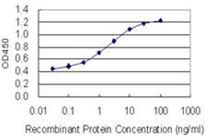Detection limit for recombinant GST tagged RAB6B is 0. (RAB6B antibody  (AA 1-208))