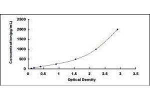 Telomerase Reverse Transcriptase (TERT) ELISA Kit