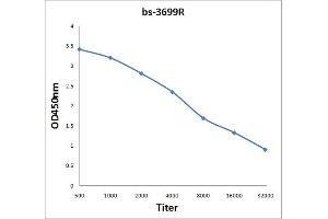 Antigen: 0. (GPR15 antibody  (AA 51-150))