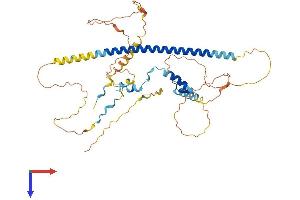 Zinc Finger, C2HC-Type Containing 1C (ZC2HC1C) (AA 1-456) protein (His tag)