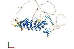AlphaFold protein structure predicition of Mouse Recombinant Terb1 Protein, UniprotID Q8C0V1 (CCDC79 Protein (AA 1-768) (His tag))