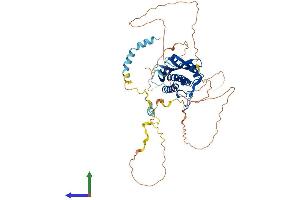 Protein Structure (PS) image for Autophagy Related 13 (ATG13) (AA 1-516) protein (His tag) (ABIN7560103)