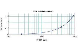 Image no. 2 for anti-Colony Stimulating Factor 3 (Granulocyte) (CSF3) antibody (Biotin) (ABIN465770)