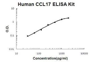Human CCL17/TARC PicoKine ELISA Kit standard curve
