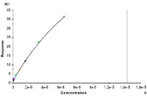 Surface Plasmon Resonance (SPR) image for Interleukin 20 Receptor alpha (IL20RA) (AA 33-253) protein (Fc Tag) (ABIN7274931)