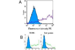 Specificity testing of GM13C1. (ICOSLG antibody  (Extracellular Domain))