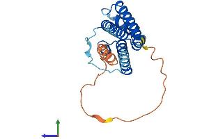 AlphaFold protein structure predicition of Human Recombinant FTH1P19 Protein, UniprotID P0C7X4