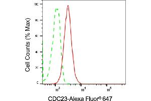 anti-Cell Division Cycle 23 (CDC23) antibody