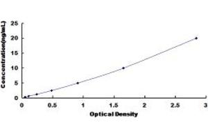 Typical standard curve (STX2 ELISA Kit)