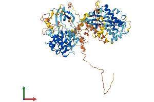 AlphaFold protein structure predicition of Mouse Recombinant Rps6ka4 Protein, UniprotID Q9Z2B9 (MSK2 Protein (AA 1-773) (His tag))