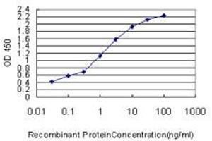 Detection limit for recombinant GST tagged YAP1 is approximately 0. (YAP1 antibody  (AA 53-161))