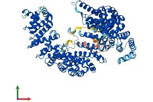 AlphaFold protein structure predicition of Human Recombinant TNPO2 Protein, UniprotID O14787 (TNPO2 Protein (AA 1-897) (His tag))