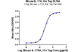 Immobilized Mouse IL-17A, His Tag at 1 μg/mL (100 μL/well) on the plate. (Interleukin 17a Protein (AA 26-158) (His-Avi Tag))