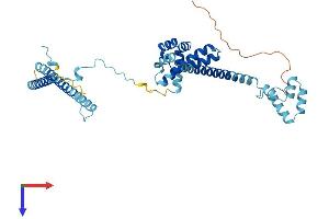 CDC37 Protein (AA 1-378) (His tag)
