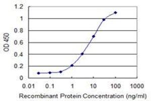 Detection limit for recombinant GST tagged RRN3 is 0. (RRN3 antibody  (AA 525-631))