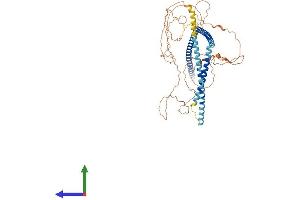 AlphaFold protein structure predicition of Mouse Recombinant Six6os1 Protein, UniprotID Q9CTN5