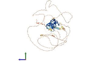 Protein Structure (PS) image for T-Box 2 (TBX2) (AA 1-712) protein (His tag) (ABIN7544298)