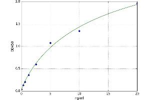 A typical standard curve (NADPH Oxidase 4 ELISA Kit)
