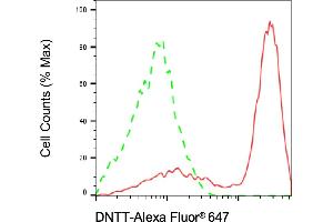 anti-Deoxynucleotidyltransferase, terminal (DNTT) antibody