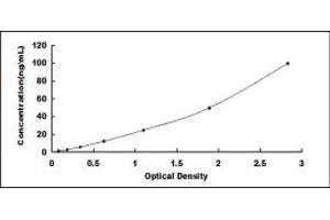 Typical standard curve (Phospholipase D2 ELISA Kit)