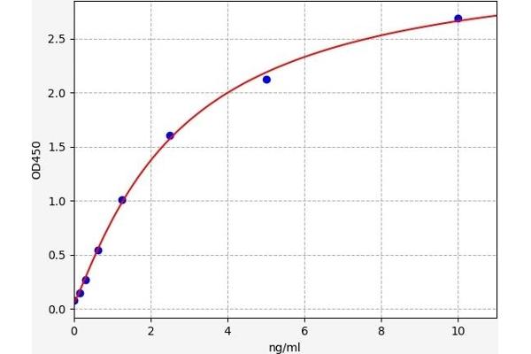 E-cadherin ELISA Kit