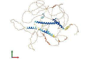 Protein Structure (PS) image for Transcription Factor 12 (TCF12) (AA 1-706) protein (His tag) (ABIN7557688)