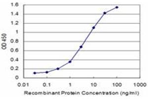 Detection limit for recombinant GST tagged AXIN1 is approximately 0. (Axin antibody  (AA 643-740))