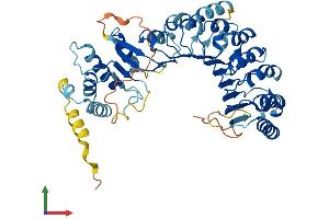 AlphaFold protein structure predicition of Human Recombinant PRAMEF1 Protein, UniprotID O95521 (PRAMEF1 Protein (AA 1-474) (His tag))