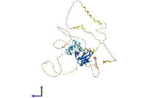 AlphaFold protein structure predicition of Mouse Recombinant Lcp2 Protein, UniprotID Q60787 (LCP2 Protein (AA 1-533) (His tag))