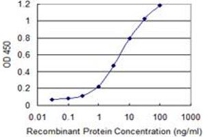 Detection limit for recombinant GST tagged SRP54 is 0. (SRP54 antibody  (AA 1-100))