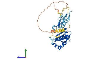 AlphaFold protein structure predicition of Human Recombinant GRXCR1 Protein, UniprotID A8MXD5 (GRXCR1 Protein (AA 1-290) (His tag))