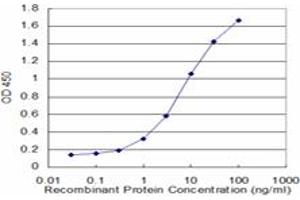 Detection limit for recombinant GST tagged FCN1 is approximately 0. (FCN1 antibody  (AA 201-300))