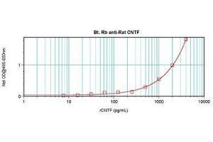 Image no. 2 for anti-Ciliary Neurotrophic Factor (CNTF) antibody (Biotin) (ABIN465709)