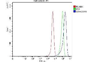 Flow Cytometry analysis of RT4 cells using anti-SHROOM4 antibody (ABIN7600980). (Shroom Family Member 4 (SHROOM4) (AA 262-928) antibody)