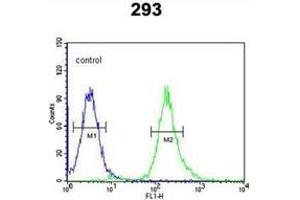 Flow cytometric analysis of 293 cells using Syntaxin 1A / STX1A Antibody (N-term) Cat. (STX1A antibody  (N-Term))