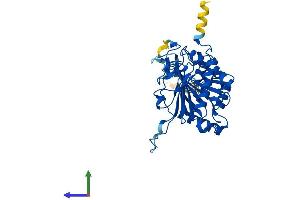 AlphaFold protein structure predicition of Human Recombinant GALT Protein, UniprotID P07902 (GALT Protein (AA 1-379) (His tag))