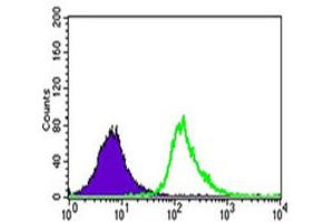 Flow Cytometry (FACS) image for anti-Undifferentiated Embryonic Cell Transcription Factor 1 (UTF1) (AA 148-214) antibody (ABIN1846681) (UTF1 antibody  (AA 148-214))