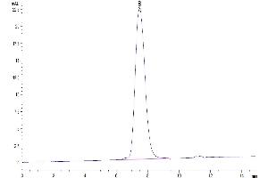 The purity of Human CD300A is greater than 95 % as determined by SEC-HPLC. (CD300a Protein (CD300A) (AA 18-180) (Fc Tag))