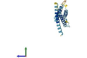 AlphaFold protein structure predicition of Human Recombinant CMTM8 Protein, UniprotID Q8IZV2 (CMTM8 Protein (AA 1-173) (His tag))