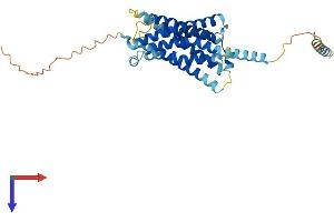 AlphaFold protein structure predicition of Mouse Recombinant Mrgprx2 Protein, UniprotID Q3UG50 (MRGPRX2 Protein (AA 1-352) (His tag))