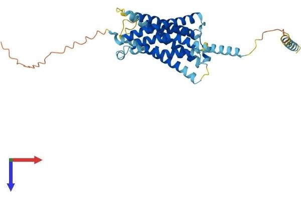 MRGPRX2 Protein (AA 1-352) (His tag)