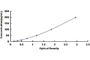 Enolase 1 (ENO1) ELISA Kit