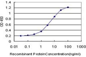 Detection limit for recombinant GST tagged SLC19A2 is approximately 0. (SLC19A2 antibody  (AA 209-285))