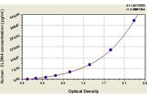 Typical Standard Curve (Claudin 4 ELISA Kit)