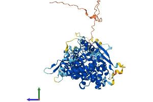 AlphaFold protein structure predicition of Mouse Recombinant Aste1 Protein, UniprotID Q8BIR2